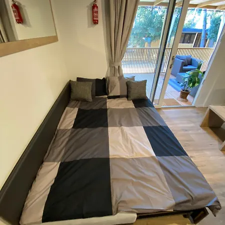 Mobile Leonida * 比奥格勒·纳·莫鲁