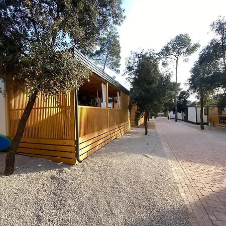 Mobile Leonida * ビオグラード・ナ・モル