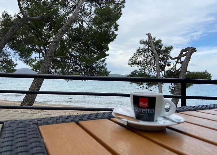 キャンプ場 Mobile Leonida