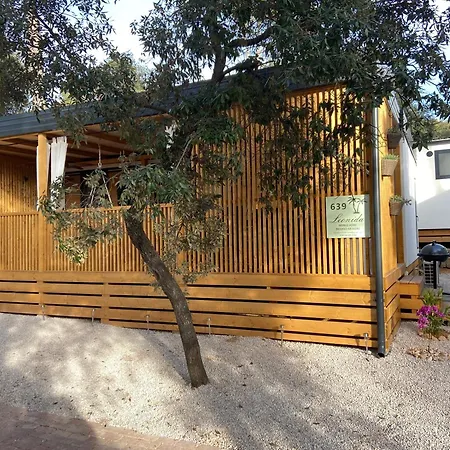 Mobile Leonida Кемпинг